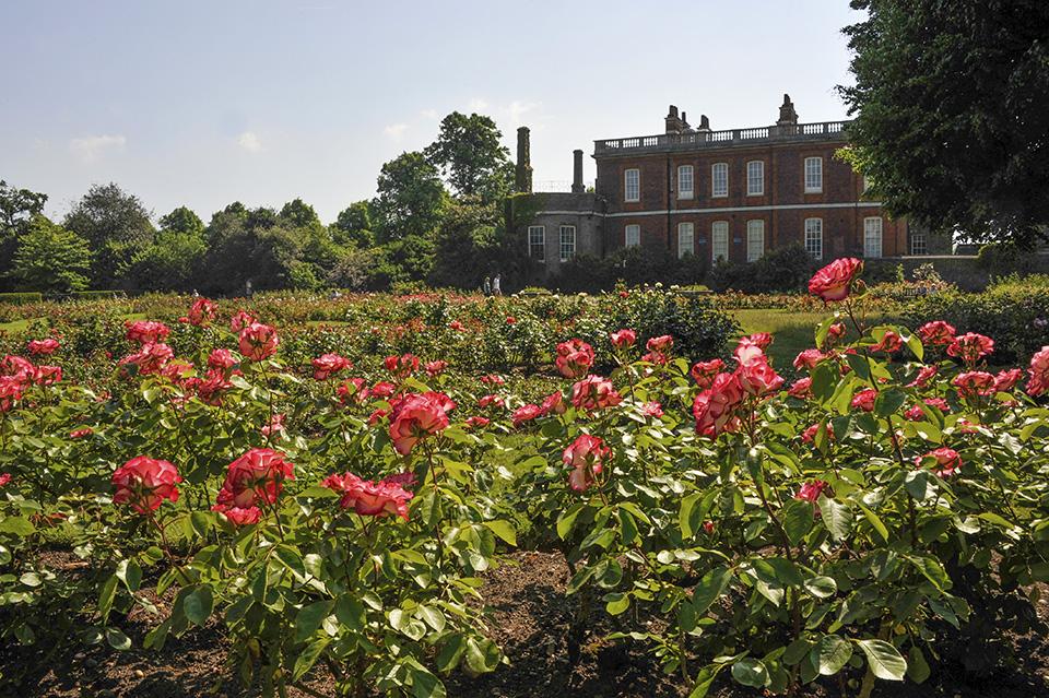 The Rose Garden in Greenwich Park