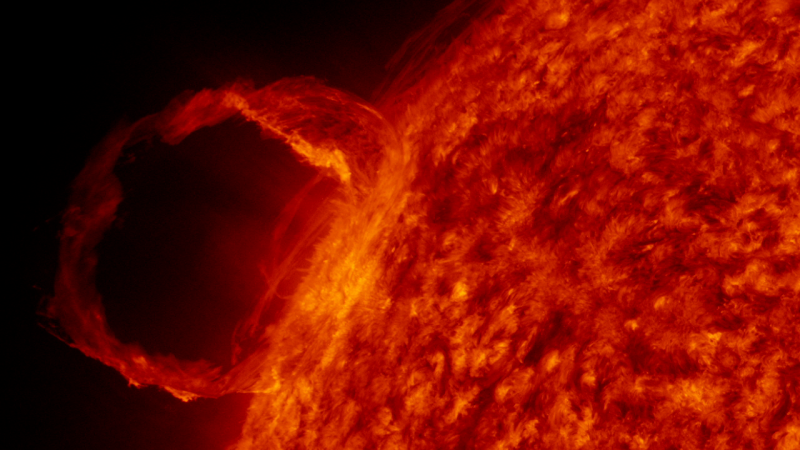 A prominence from the Sun 