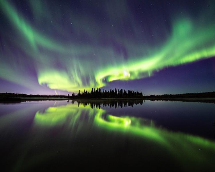 Purple and green aurorae over an island of dark trees