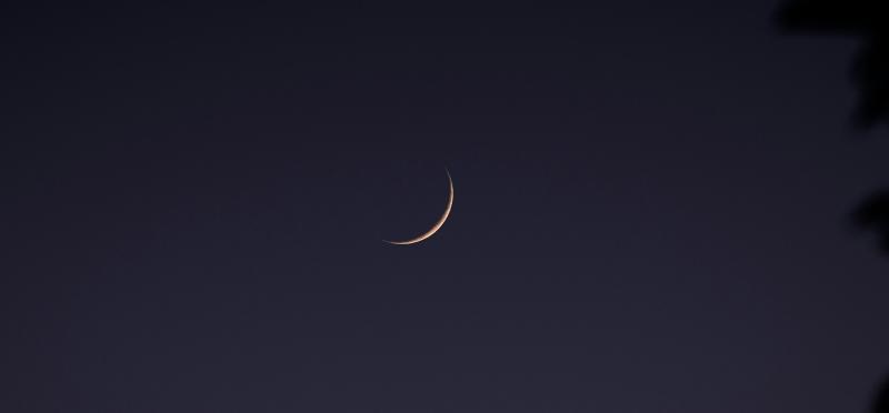 Photo of the very thin new crescent Moon which is yellow-white against a dark sky