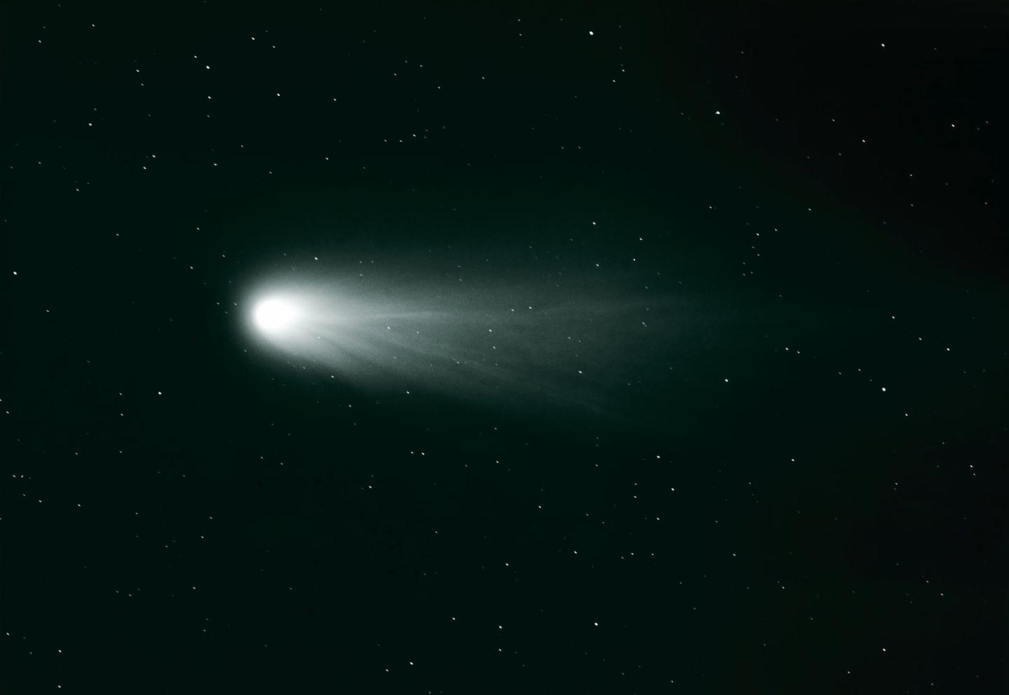 A photo of Halley's comet